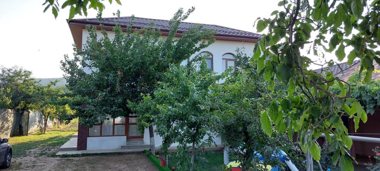 Agropensiunea Olteanu Niculitel 외부 사진